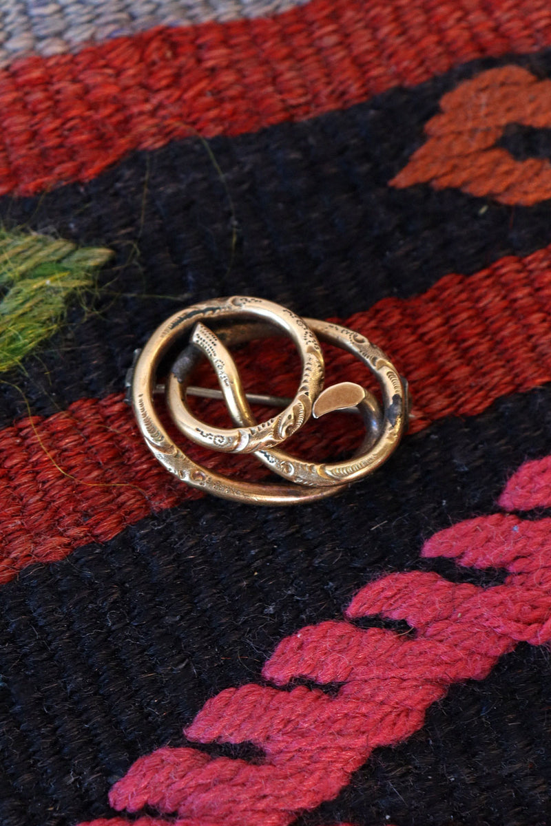 Golden Brass Snake Brooch