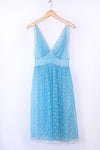 Blue Swan Sheer Slip Dress M