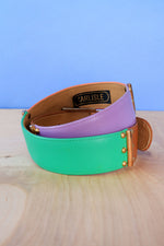 Carlisle Candy Colorblock Belt