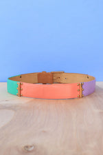 Carlisle Candy Colorblock Belt