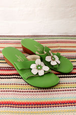 Kelly Hawaii Leather Flower Sandals 6