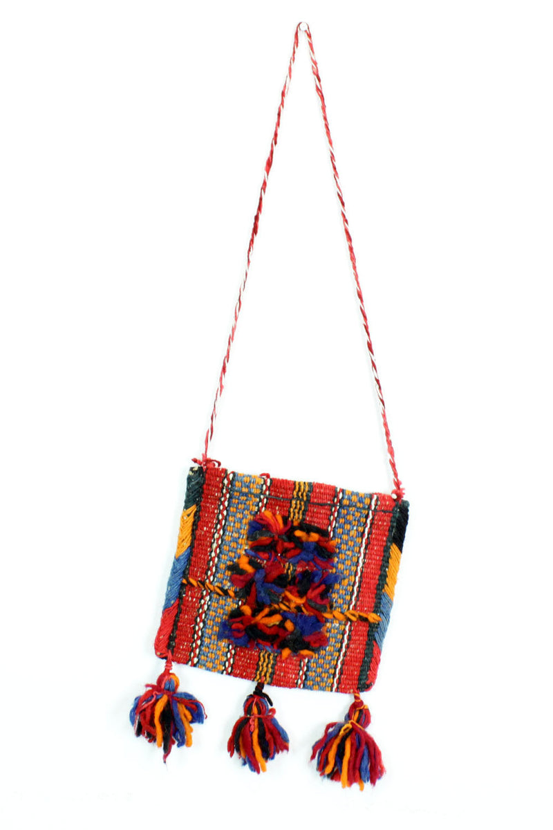 magic carpet purse